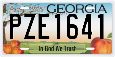 GA license plate PZE1641