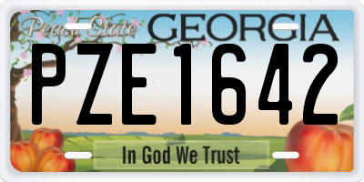 GA license plate PZE1642
