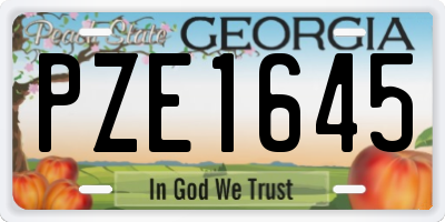GA license plate PZE1645