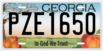 GA license plate PZE1650