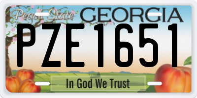 GA license plate PZE1651
