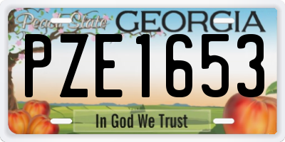 GA license plate PZE1653