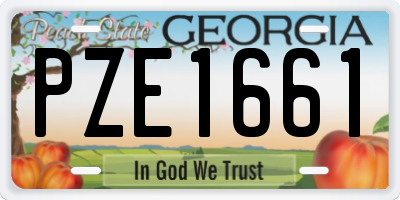 GA license plate PZE1661