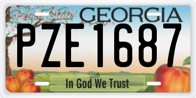 GA license plate PZE1687