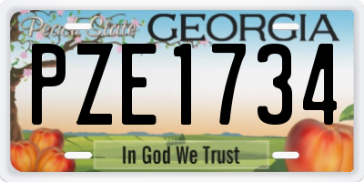 GA license plate PZE1734
