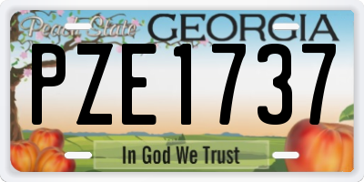 GA license plate PZE1737