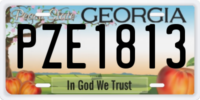GA license plate PZE1813