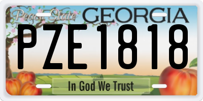 GA license plate PZE1818