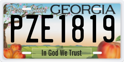 GA license plate PZE1819