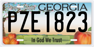 GA license plate PZE1823