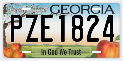 GA license plate PZE1824