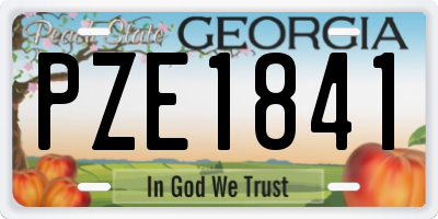 GA license plate PZE1841