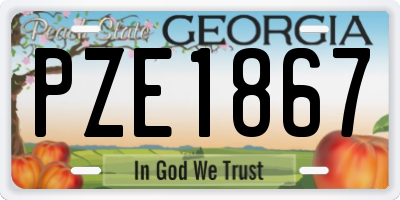 GA license plate PZE1867