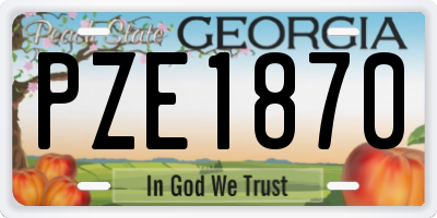 GA license plate PZE1870