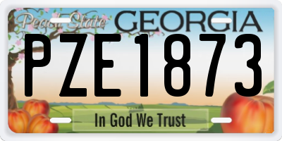 GA license plate PZE1873