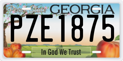GA license plate PZE1875