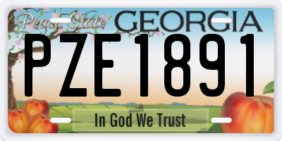 GA license plate PZE1891