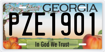 GA license plate PZE1901