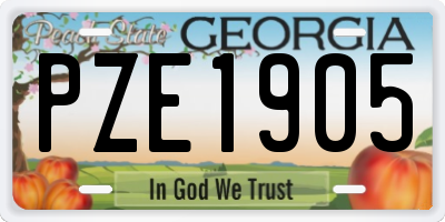 GA license plate PZE1905