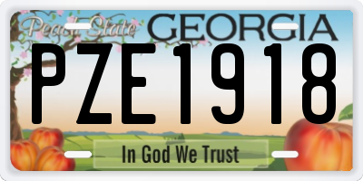 GA license plate PZE1918
