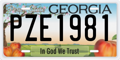 GA license plate PZE1981