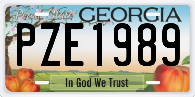 GA license plate PZE1989