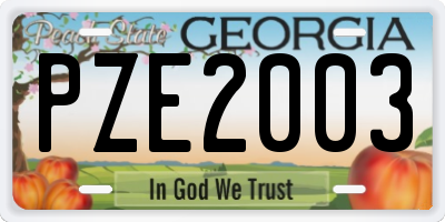 GA license plate PZE2003