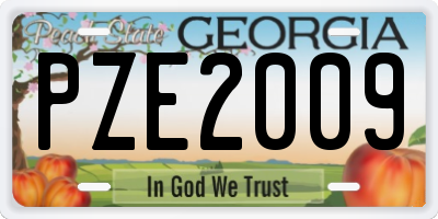 GA license plate PZE2009