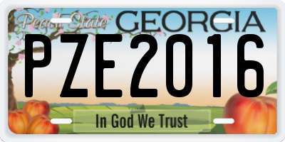 GA license plate PZE2016