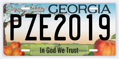 GA license plate PZE2019