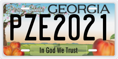 GA license plate PZE2021