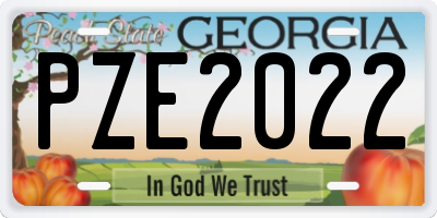GA license plate PZE2022