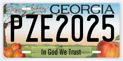 GA license plate PZE2025