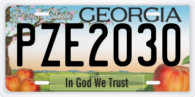 GA license plate PZE2030