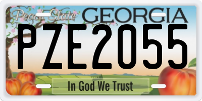 GA license plate PZE2055