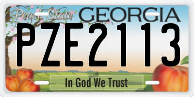 GA license plate PZE2113