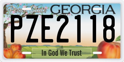 GA license plate PZE2118