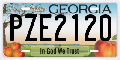 GA license plate PZE2120