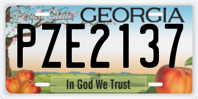 GA license plate PZE2137