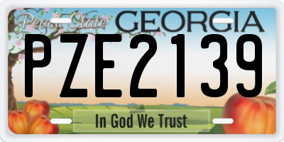 GA license plate PZE2139