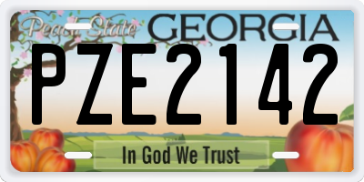 GA license plate PZE2142