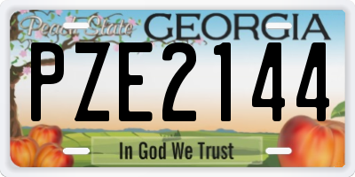 GA license plate PZE2144