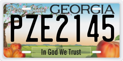 GA license plate PZE2145