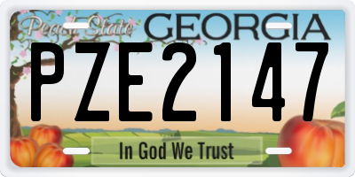 GA license plate PZE2147