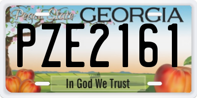 GA license plate PZE2161