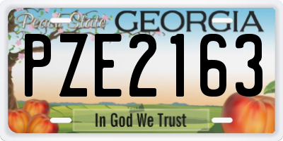 GA license plate PZE2163