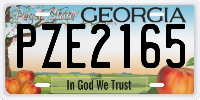GA license plate PZE2165