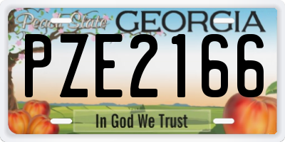 GA license plate PZE2166