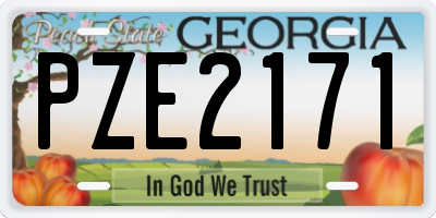 GA license plate PZE2171