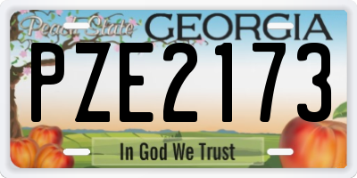 GA license plate PZE2173